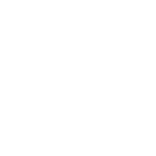 MOBILE PATROL
