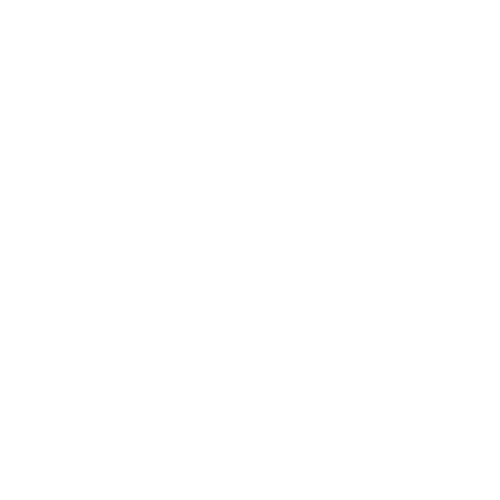 CCTV SURVEILLANCE