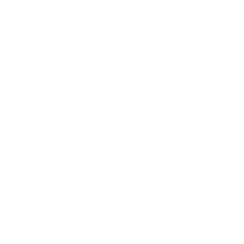SECURITY DOGS
