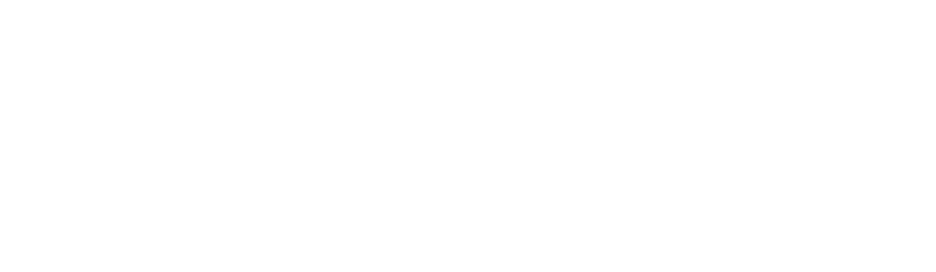 Pro-tek Security Services